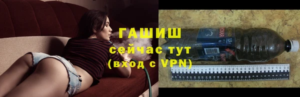 стаф Абаза