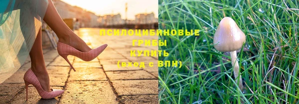стафф Алексеевка