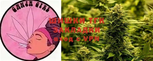 стаф Абаза