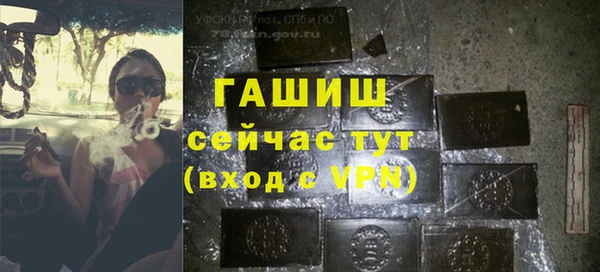 стаф Абаза