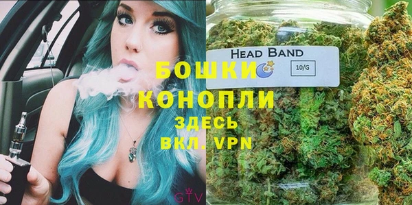 стаф Абаза