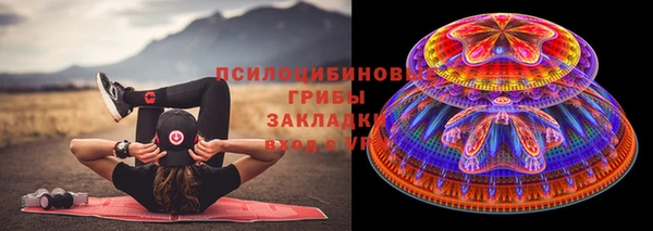 прущий лед Алексин