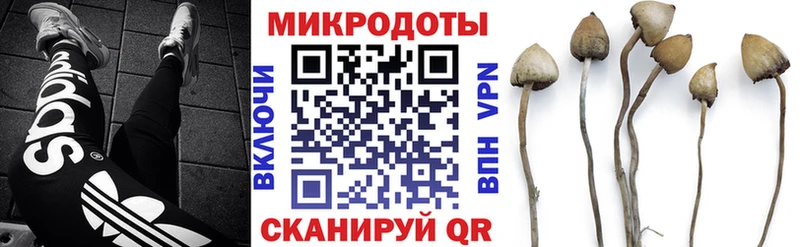 что такое наркотик  Ленинградская  Псилоцибиновые грибы MAGIC MUSHROOMS 